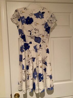 Brooks Brothers Silk Fit-and-Flare Dress with Blue Floral Print- Size 0